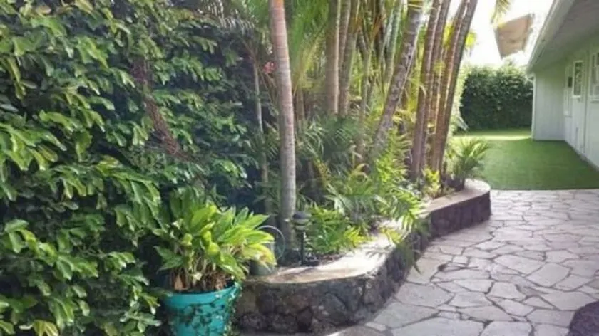 Paradise Palms B&B - Image 1