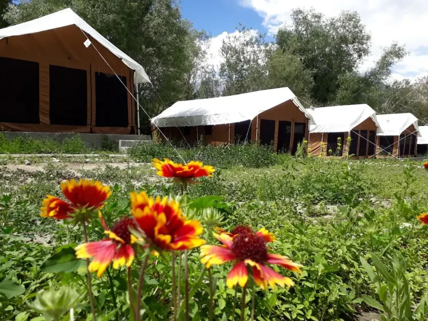 Mila Retreat Camp - Image 1