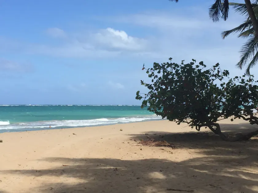 Condado Studio Apt - Image 1