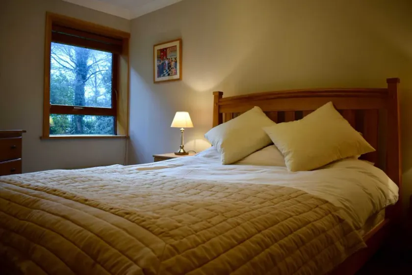 Cozy Ballsbridge Apartment - Image 1