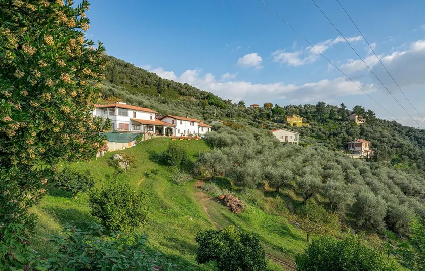 Villa I Cedri - Image 1