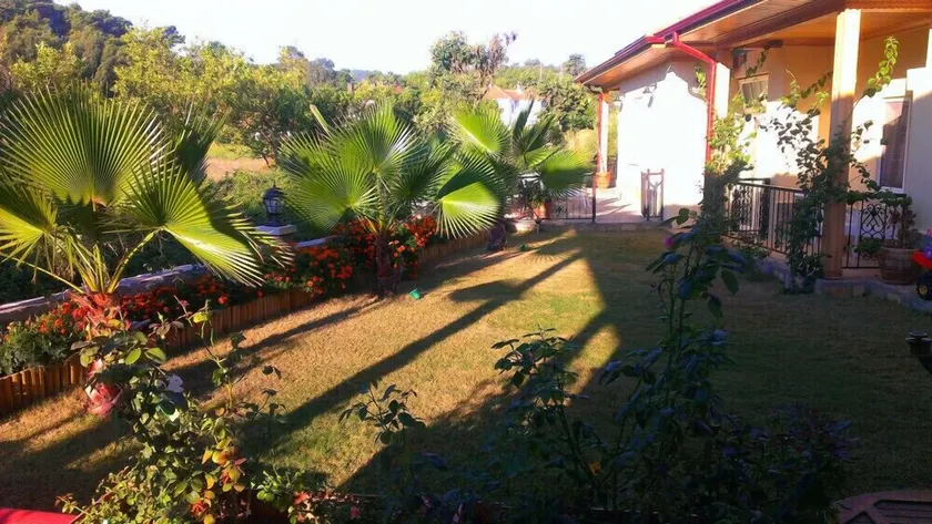 Three Palms Suites - Image 1