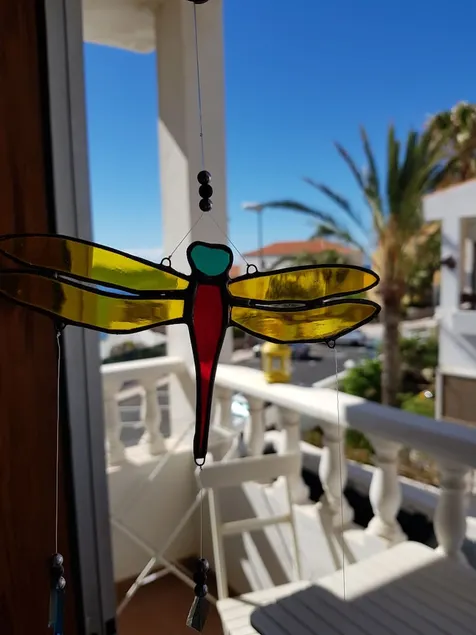 The Magic Dragonfly! - Image 1