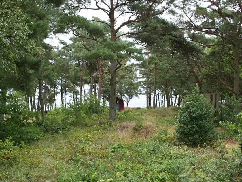 Peaceful Holiday Home in Nexo Near Sea - Image 1