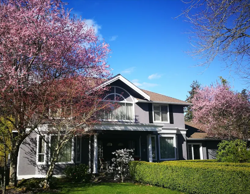 White Rock Pacific - Image 1