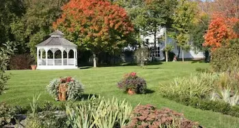 The Grafton Village Inn - Image 1
