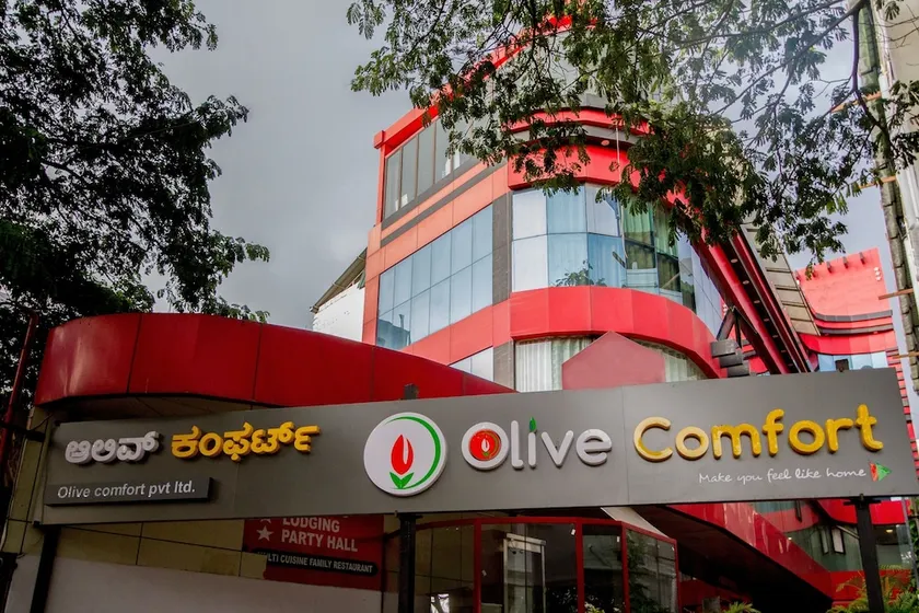 Olive Comfort - Image 1