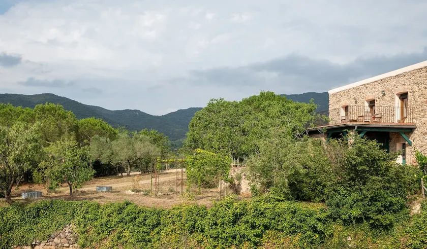 Mas Olivella - Image 1