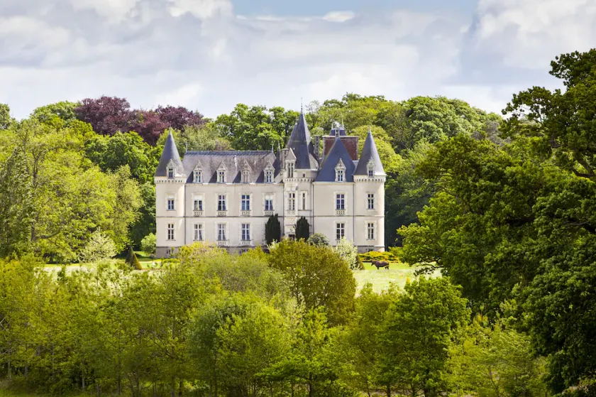 Château des Tesnières - Image 1