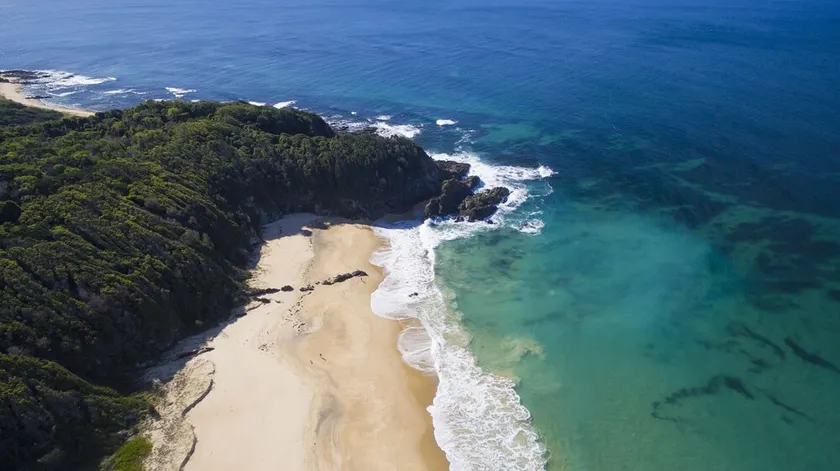 Beachfront Hallidays Point - Image 1