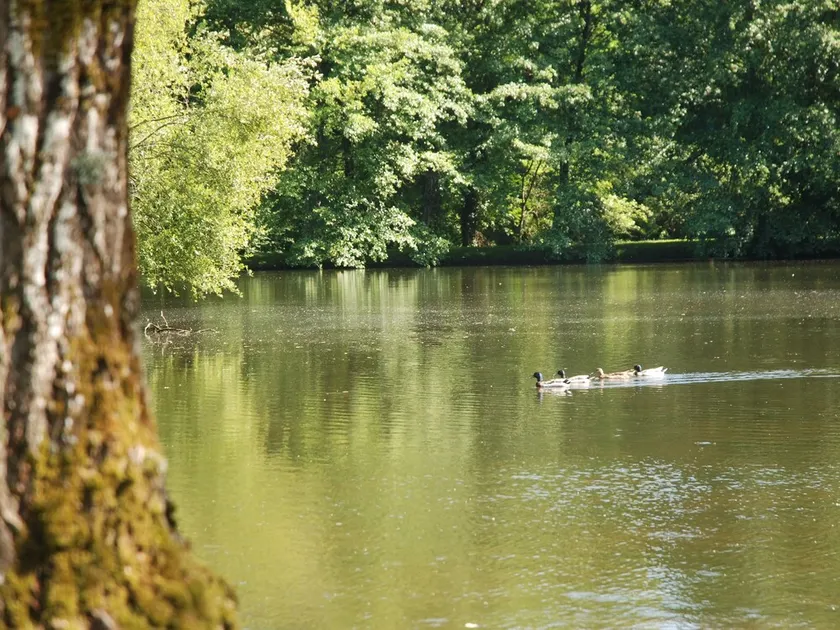 Domaine Du Grand Chene - Image 1