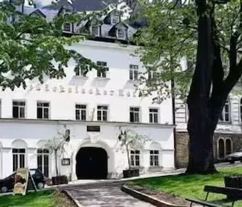 Hotel Saechsischer Hof - Image 1