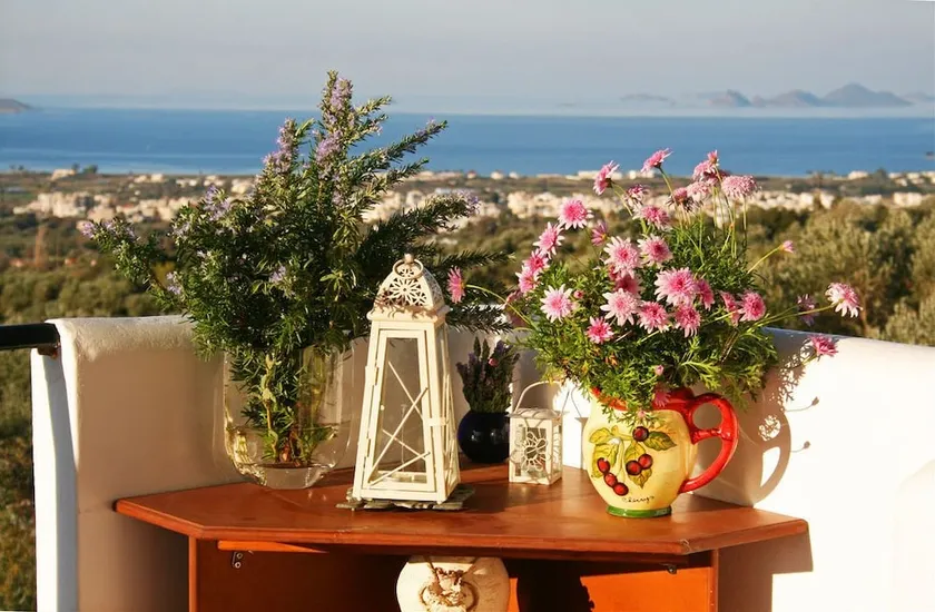 The Olive Branch Villa - Image 1