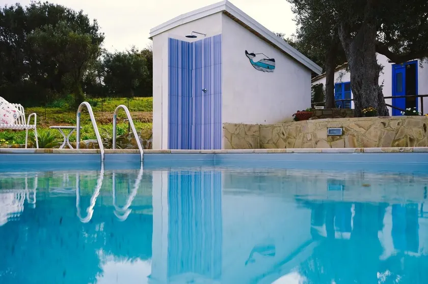 Easy Welcome Salvia - Cartolari County Apartments - Image 1