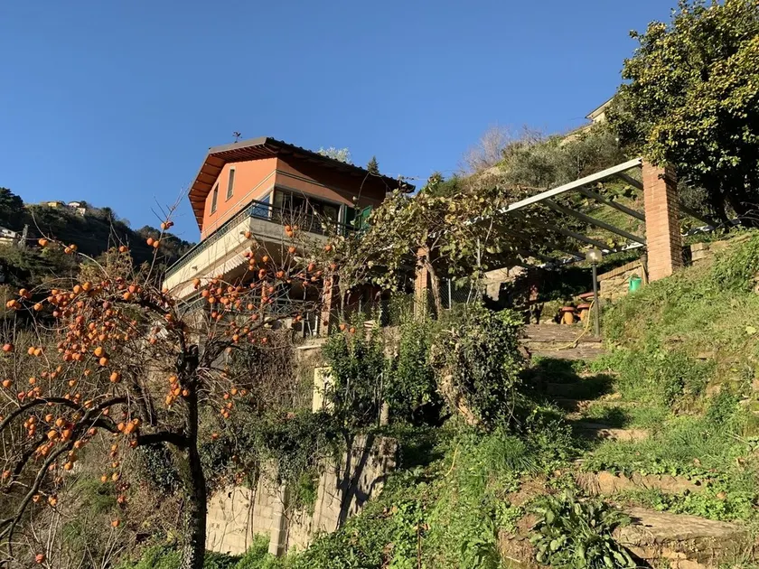 Villa Vigna - Image 1
