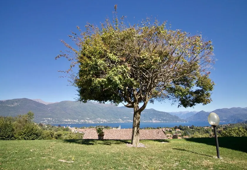 Oasi di Castelveccana Apt Pool and View - Image 1
