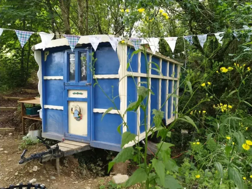 Pilgrims Shepherd's Hut - Goosewell Glynn Glamping - Image 1