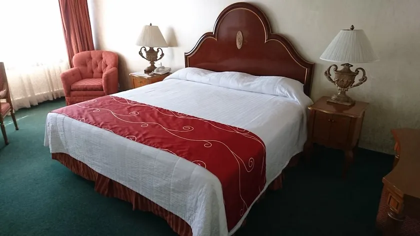 Palacio del Sol Hotel - Image 1