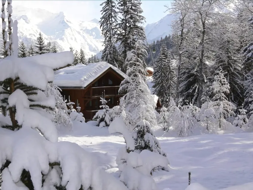 Chalet Aurelia La Tania - Image 1