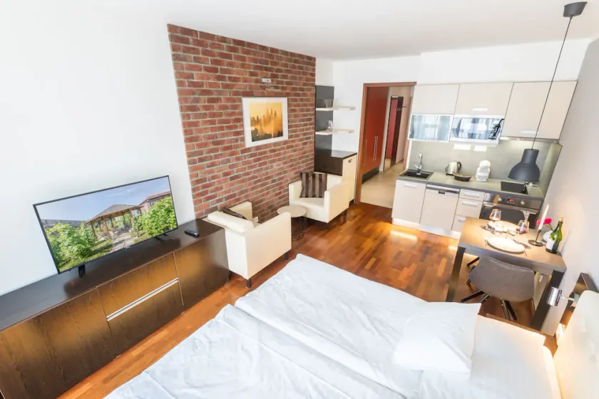 Albertov Rental Apartments - Image 1