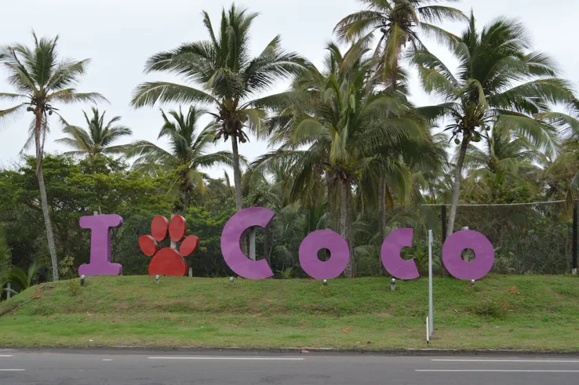 CocoAventura Cabanas & Club de Playa - Image 1