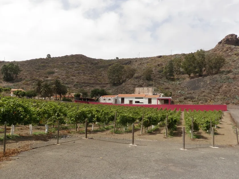 Finca La Salud - Image 1