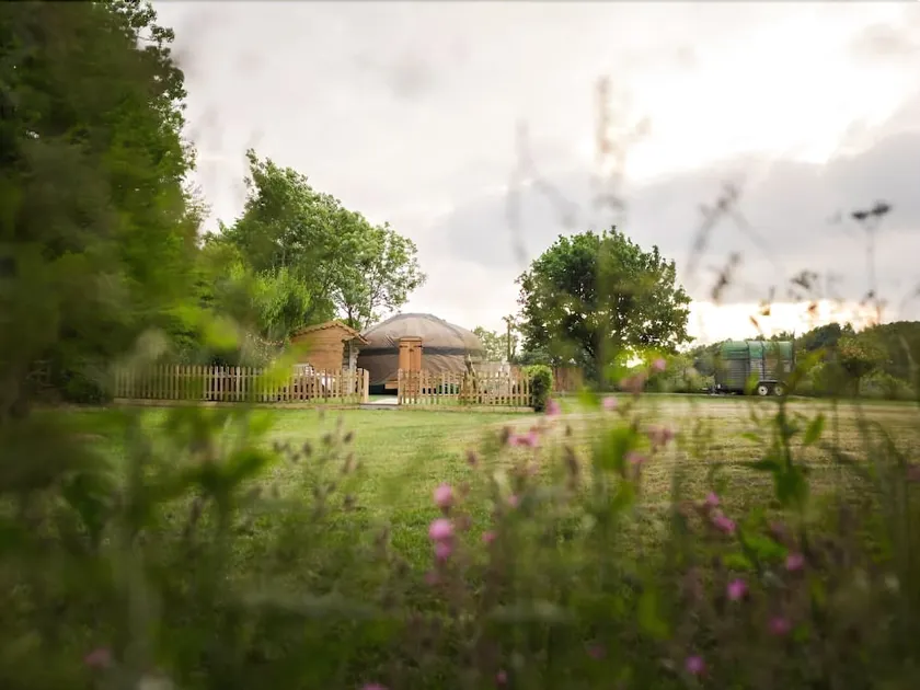 The Yurt at Hollands Farmhouse - Campsite - Image 1