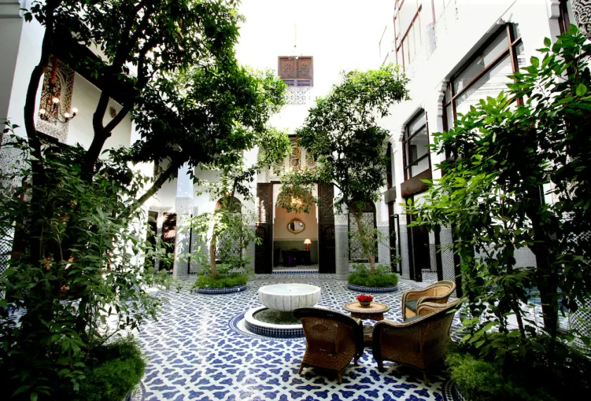 Riad Misbah - Image 1