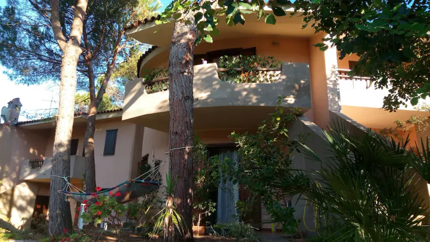 Green House-Woods And Beaches - Image 1