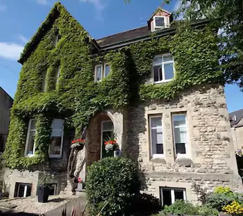 The Ivy House - Image 1