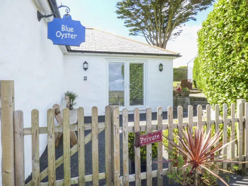 Blue Oyster - Image 1