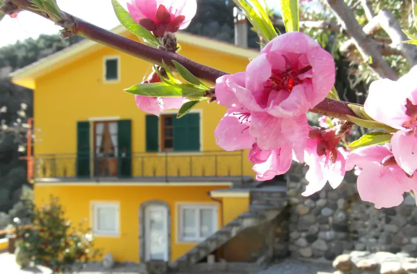 Agriturismo Costa di Campo - Image 1
