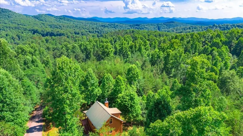 Hidden Haven-peaceful Inviting pet Friendly Cabin - Image 1