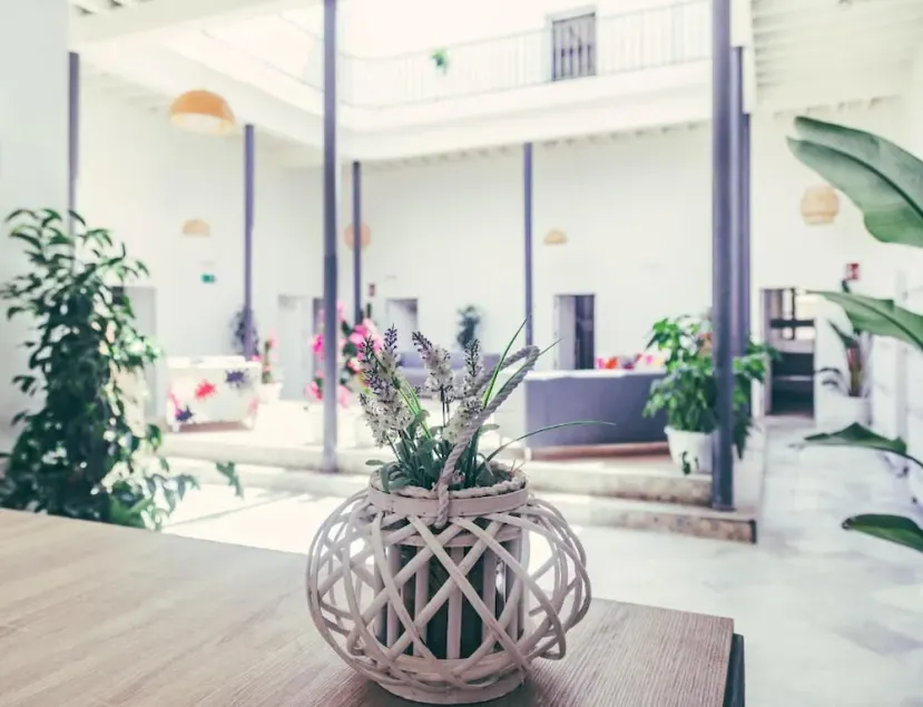 South Hostel Cadiz - Image 1