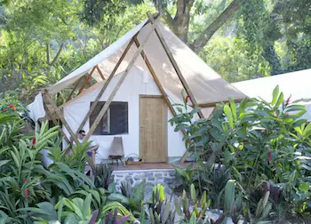 Okavango - Image 1