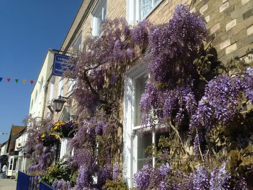 Wisteria House Lymington - Image 1