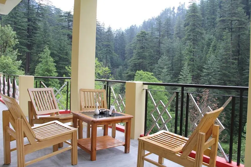 Dev Conifers Green - Image 1