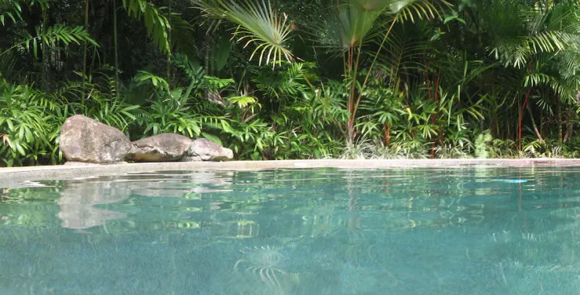 Daintree Rainforest Retreat - Image 1