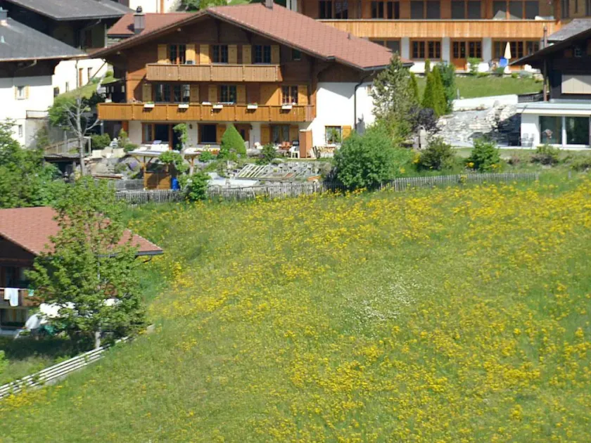 Marielle Adelboden in Adelboden - Image 1