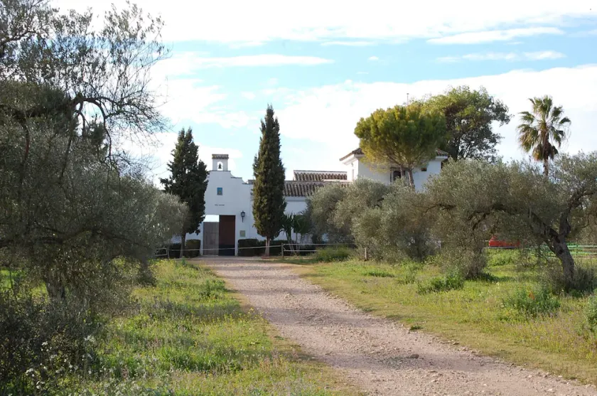 Hacienda Dos Olivos - Image 1