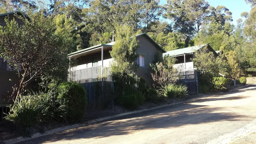 The Original Gold Rush Colony - Image 1