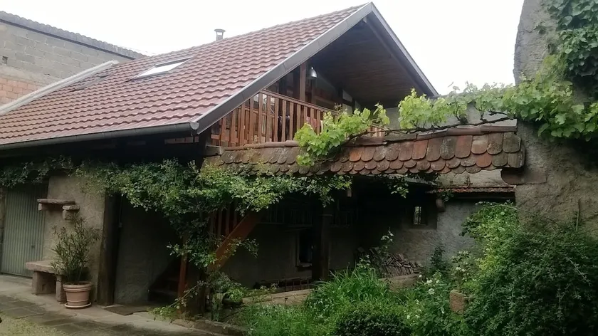 Nid douillet au cœur du vignoble alsacien - Image 1