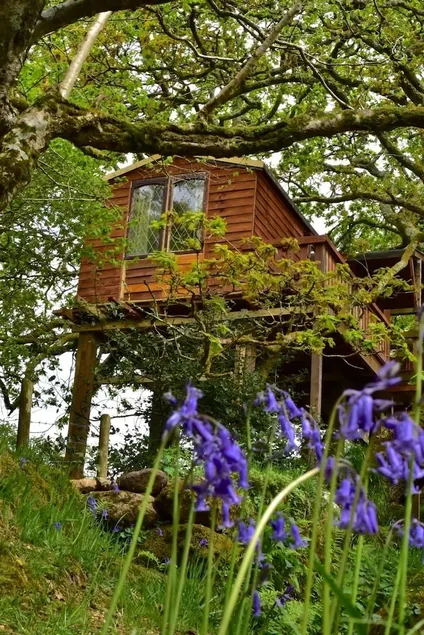 Green Cart Farm - Image 1