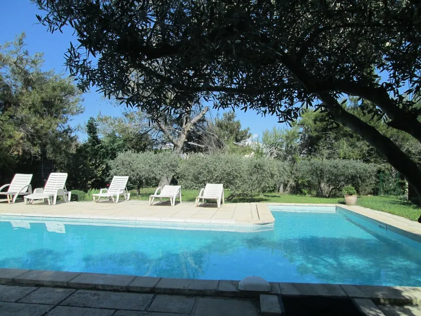 La Garrigue Des Alpilles - Image 1