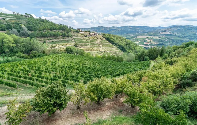 Stunning Home in Castino With Wifi and 4 Bedrooms - Image 1