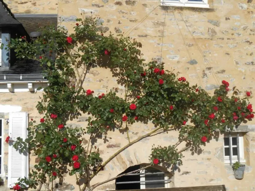 Au Presbytère de Dagmar Chambres d´Hôtes - Image 1