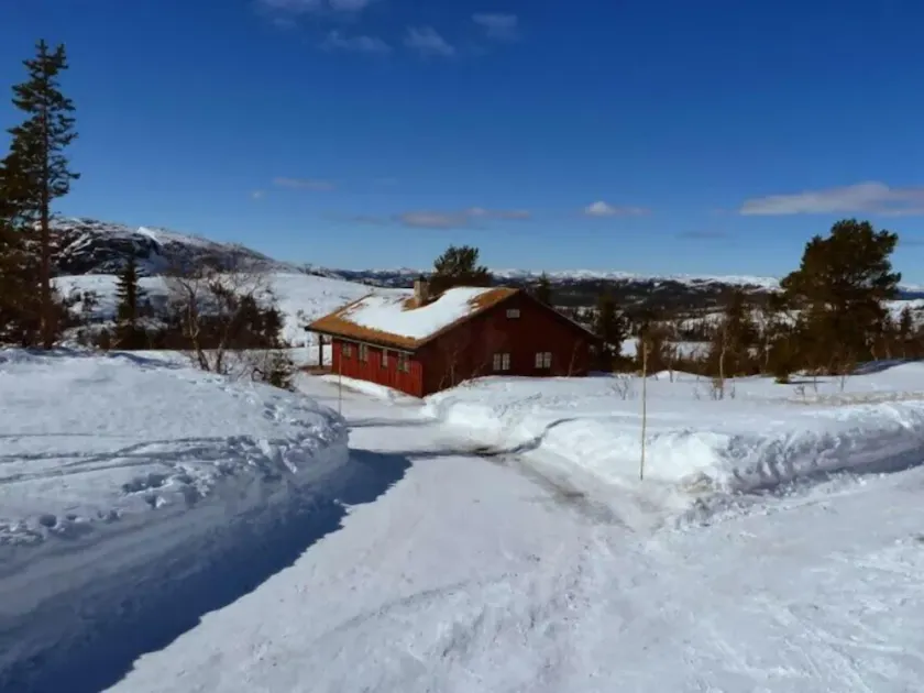 Furulie Cabin - Flå - Image 1