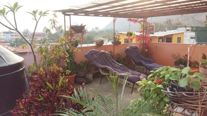 La Zanahoria Chic - Image 1