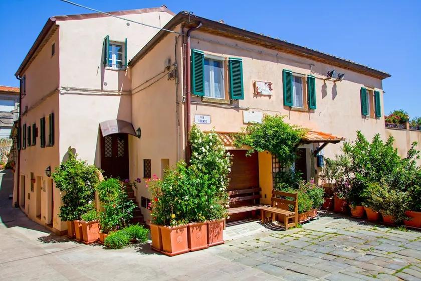 B&B Casa Delle Camelie - Image 1
