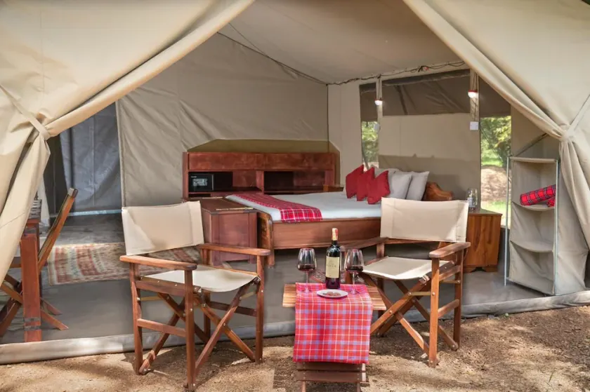 Hammerkop Migration Camp - Image 1